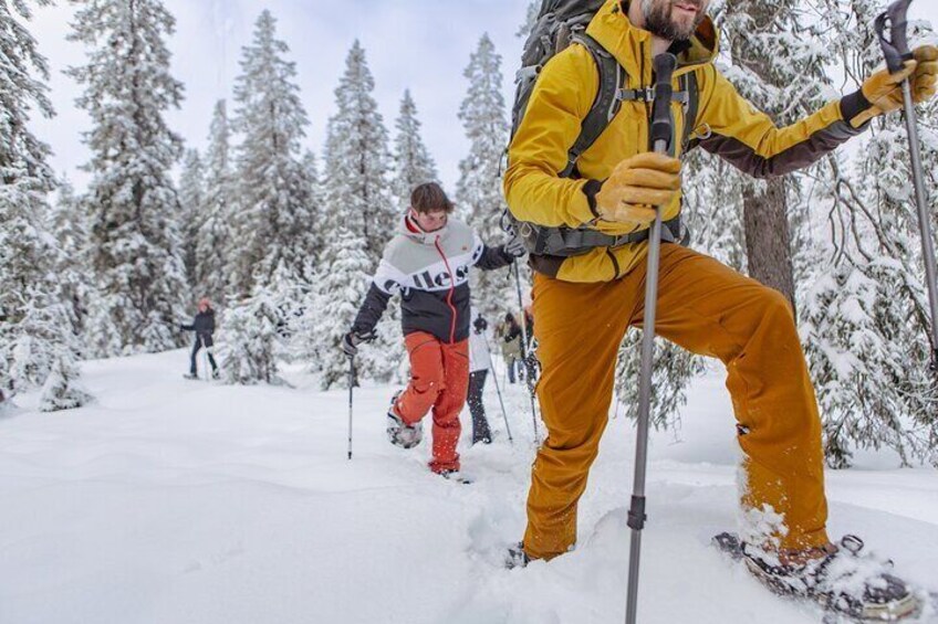 Snowshoe tour in Winter Wonderland - Oslo