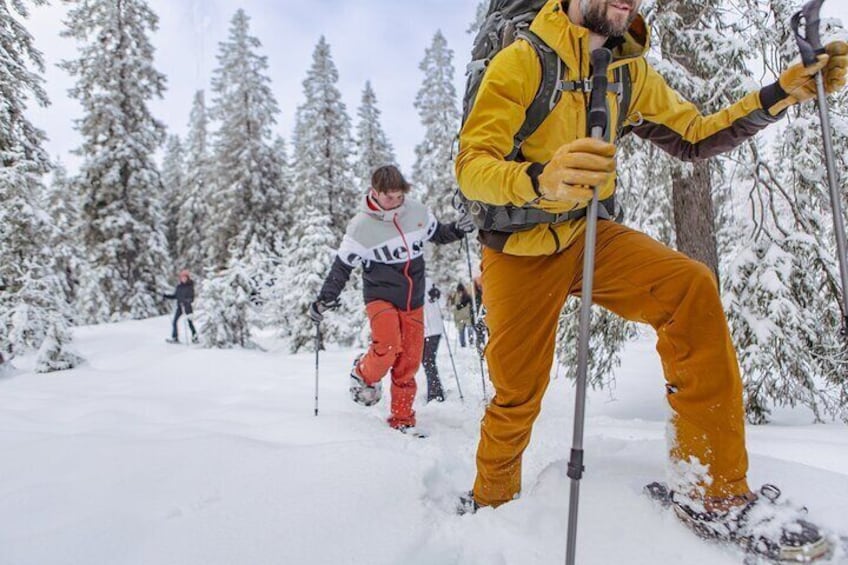 Snowshoe tour in Winter Wonderland - Oslo