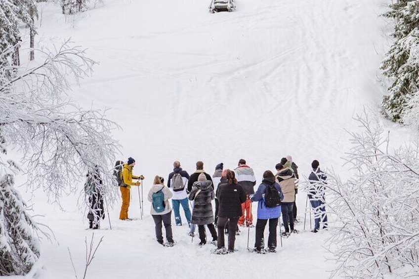 Snowshoe tour in Winter Wonderland - Oslo