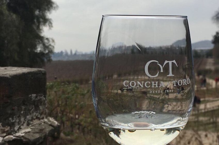 Traditional Tour at Concha y Toro Winery