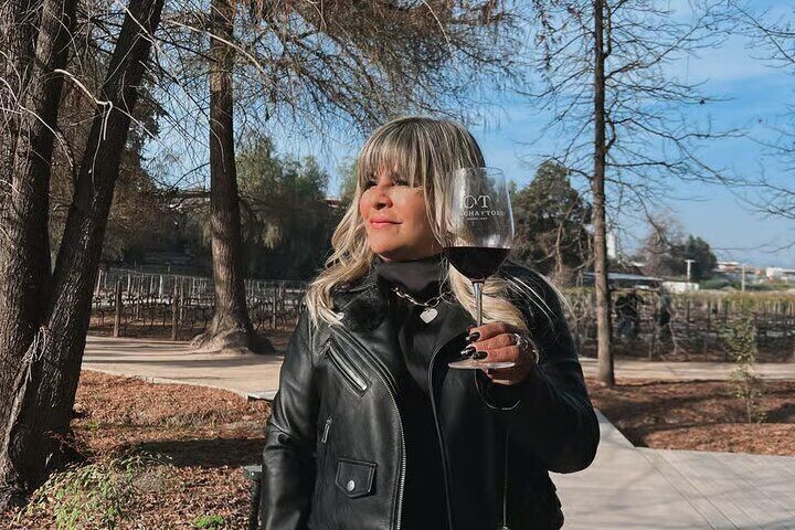 Tour to the Wine Centre DA Vinícola Concha y Toro