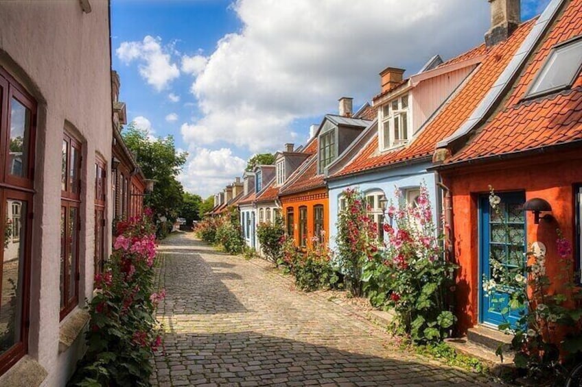Half Day Private Tour of Aarhus Like a Local