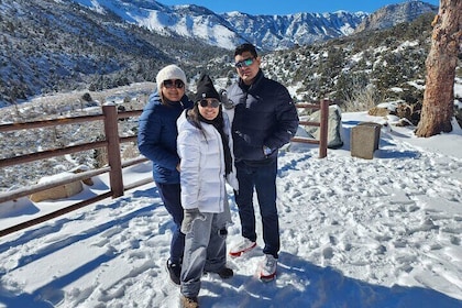 Mount Charleston Tour