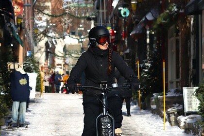 Electric Fatbike Tour in Québec City