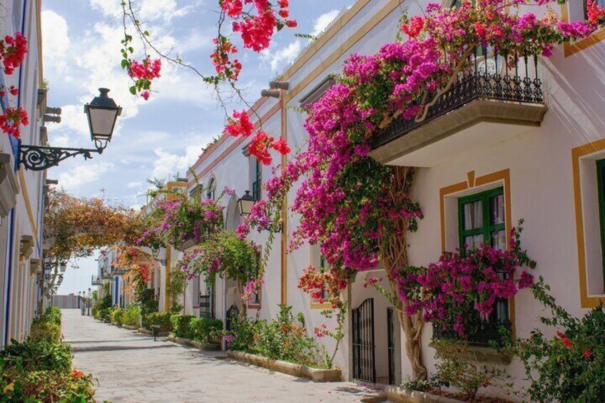 Full Day Private Shore Tour in Las Palmas from Gran Canaria Port