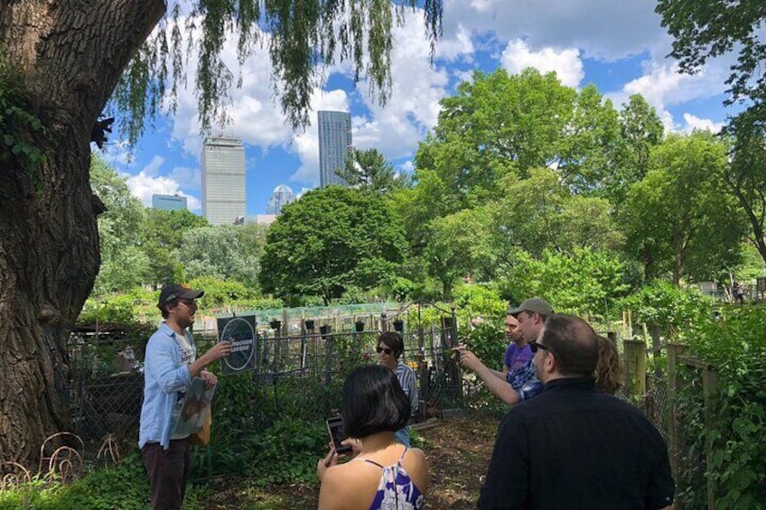 Tour Boston's Rock & Roll Past and Present by Soundscape Tours