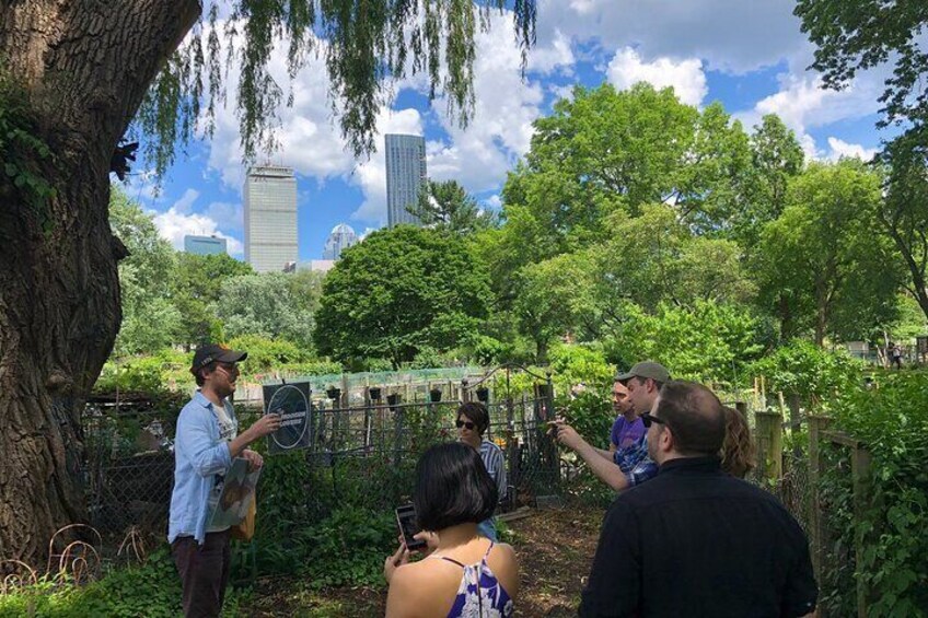 Tour Boston's Rock & Roll Past and Present by Soundscape Tours