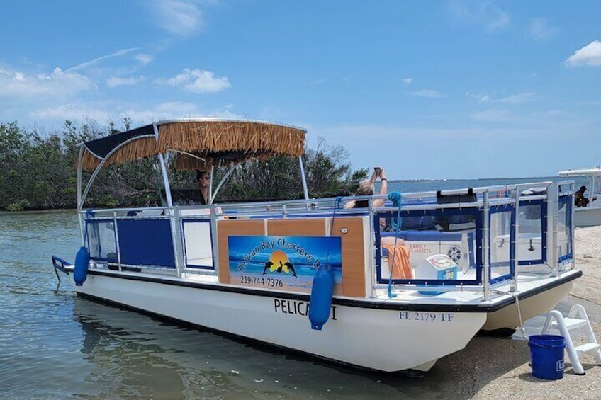 Dolphin and Sightseeing Tiki Cruise