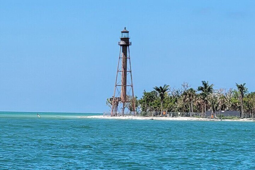 Dolphin and Sightseeing Tiki Cruise