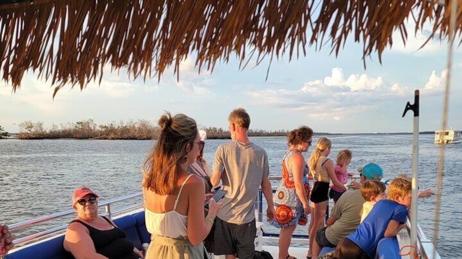 Dolphin and Sightseeing Tiki Cruise
