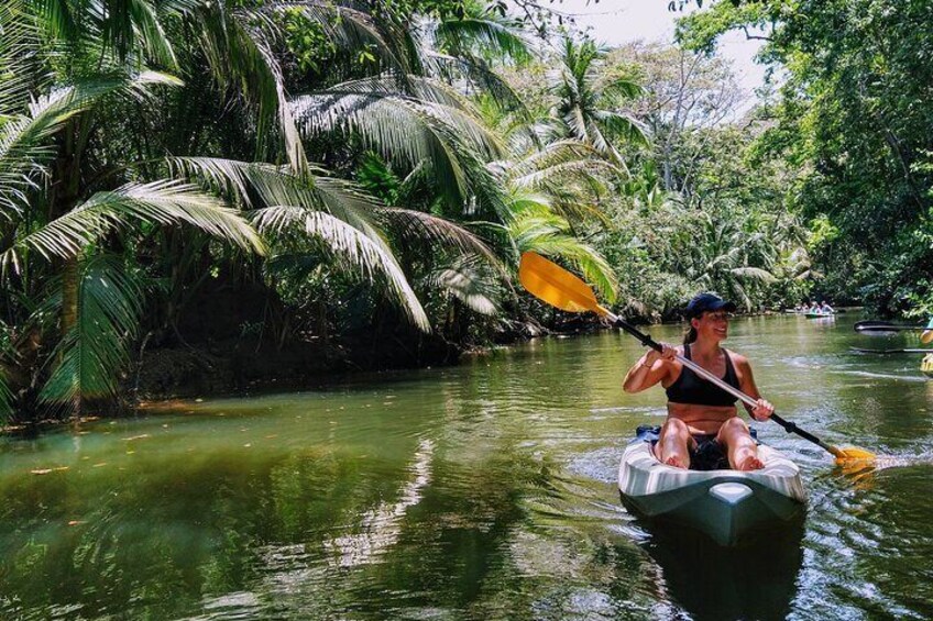 Kayak and Sloth Watching Tour. 