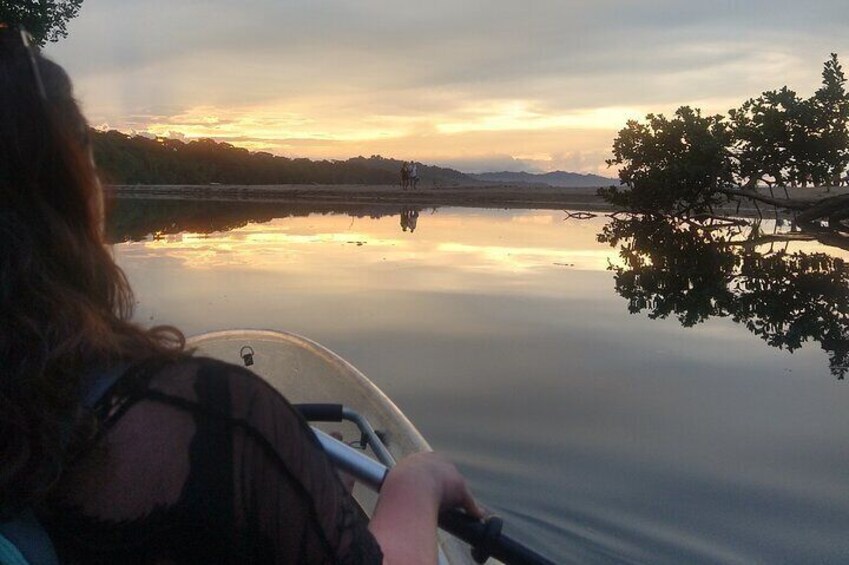 Sloth watching and jungle kayak tour