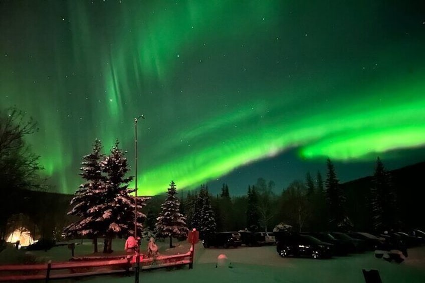 Northern Lights at Chena Hot Springs 