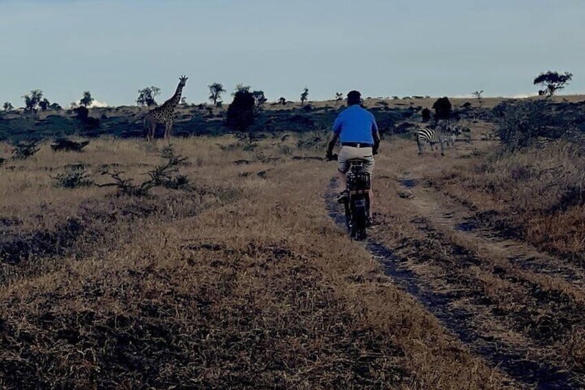 Private E Bike Tour around Hell's Gate National Park in Naivasha