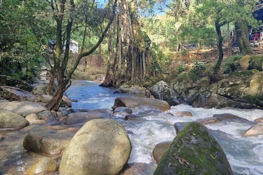 Sierra Minca Tour