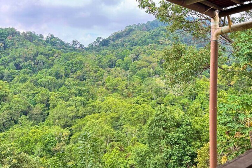 Sierra Minca - view