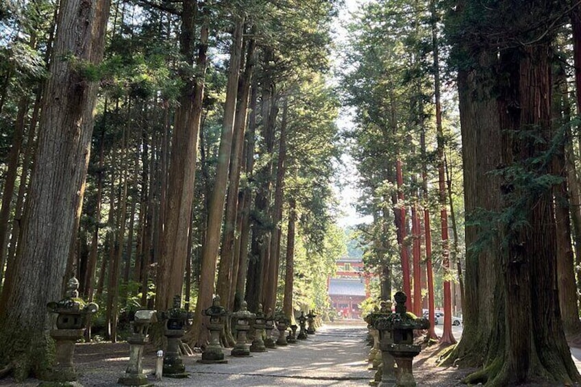 stone lantern entrance kithaguchi shrine