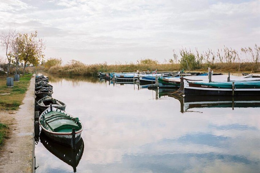 Natural park of the Albufera