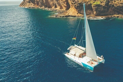 Fullday Catamaran Cruise to Islands & Snorkelling at Coin de MIre