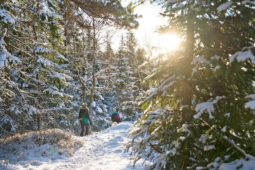 4 hours Winter View of the Oslofjord Walk Tour 