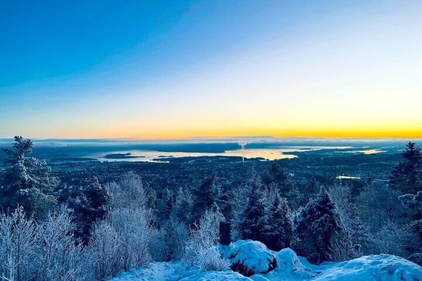 4 hours Best View of the Oslofjord Winter Edition