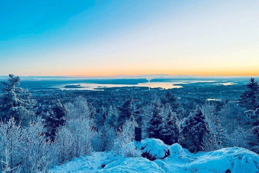4 hours Winter View of the Oslofjord Walk Tour 
