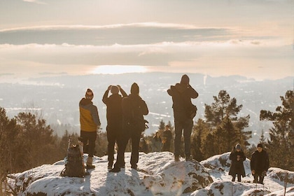 4 uur Beste uitzicht op de Oslofjord Winter Edition