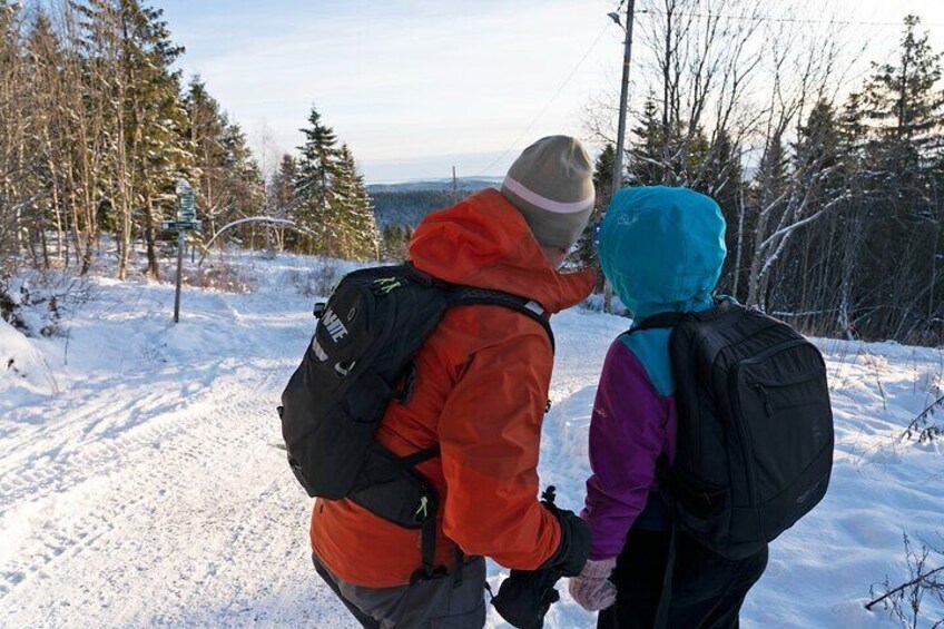 4 hours Winter View of the Oslofjord Walk Tour 