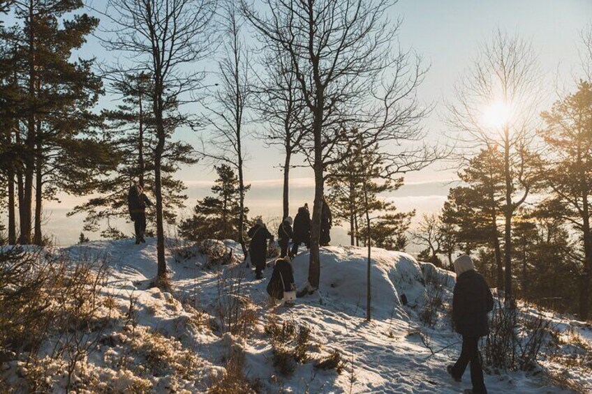 4 hours Best View of the Oslofjord Winter Edition