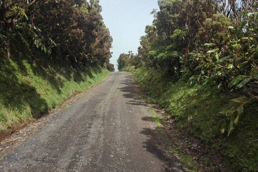 Walking trail, Tasting session and Kayaking