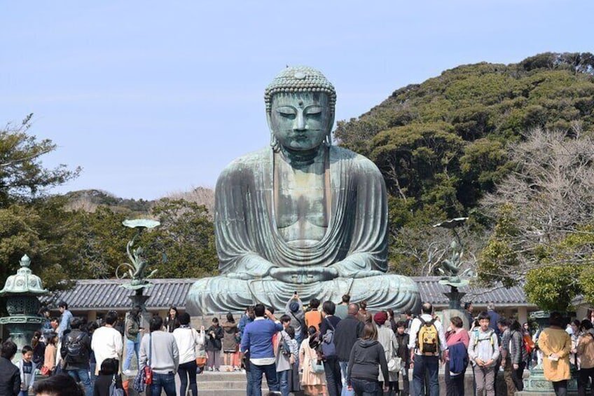 Full Day Private Sightseeing Tour of Kamakura