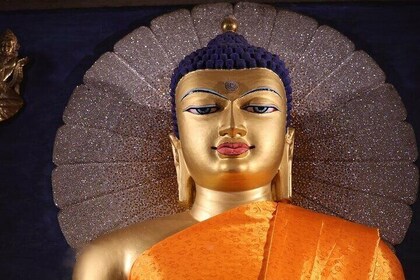 Visita guiada privada de Bodh Gaya durante 2 días.