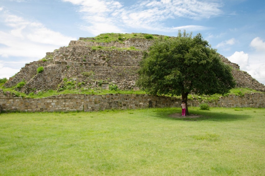 From Oaxaca City: Monte Alban Guided Archaeological Tour