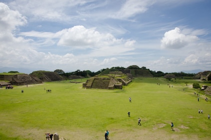 Dari Kota Oaxaca: Tur Arkeologi Berpemandu Monte Alban