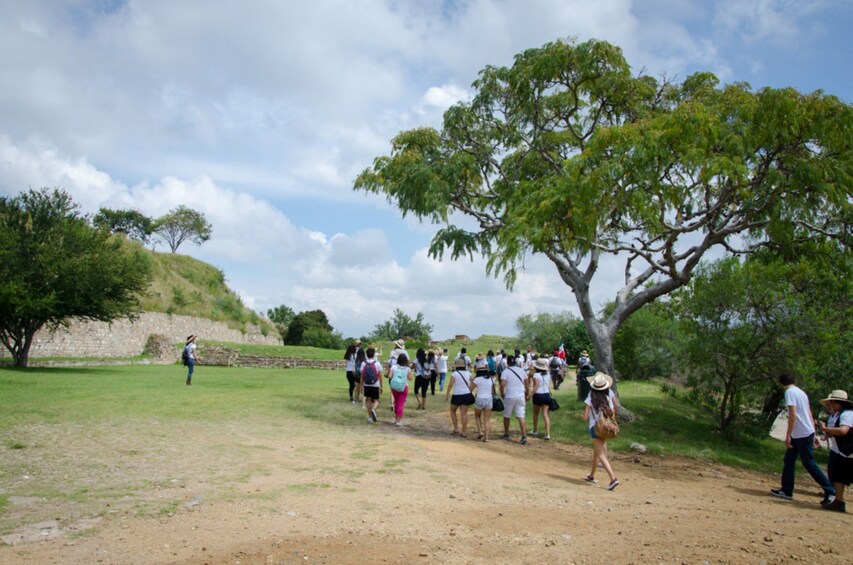 From Oaxaca City: Monte Alban Guided Archaeological Tour