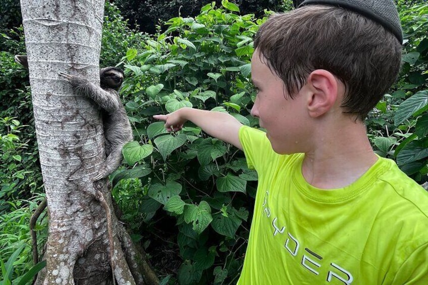 Private Panama Canal Boat + Wildlife Search