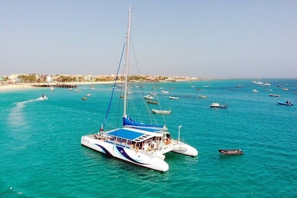 Half-Day Catamaran Cruise Tour in Ilha do Sal