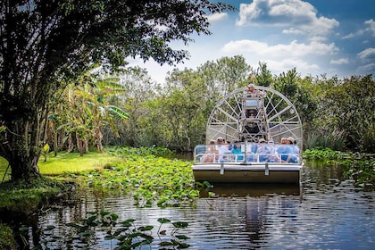 邁阿密：大沼澤地野生動物園汽艇遊覽