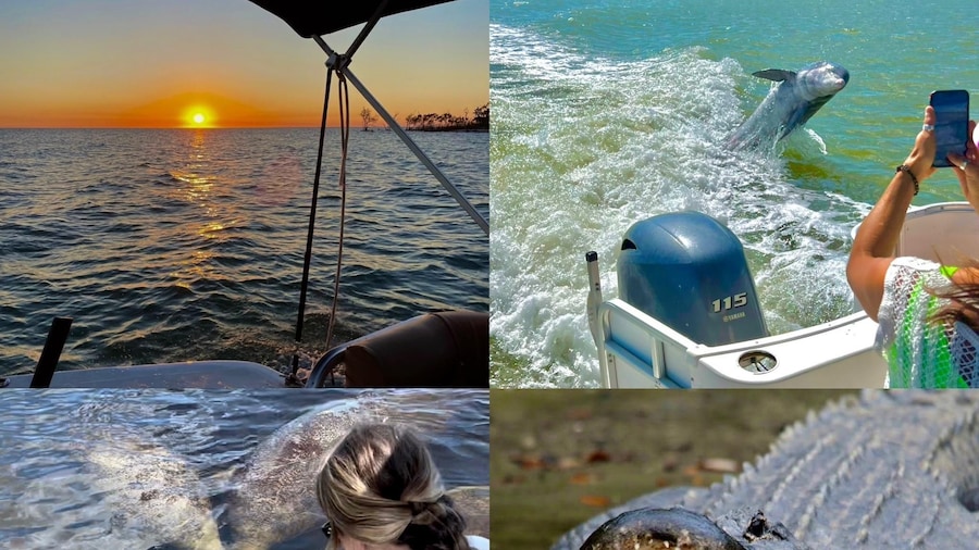 Naples, FL: Manatee, Dolphin, 10,000 Islands Sunset Cruise