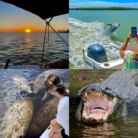 Napels, FL: Manatee, dolfijn, 10.000 eilanden cruise bij zonsondergang