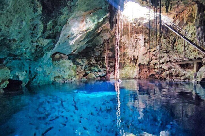 Amazing Cenotes Homun