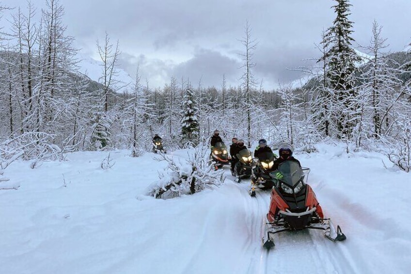 Snowmobile and Snowshoe Dual Adventure in Kenai Fjords NP