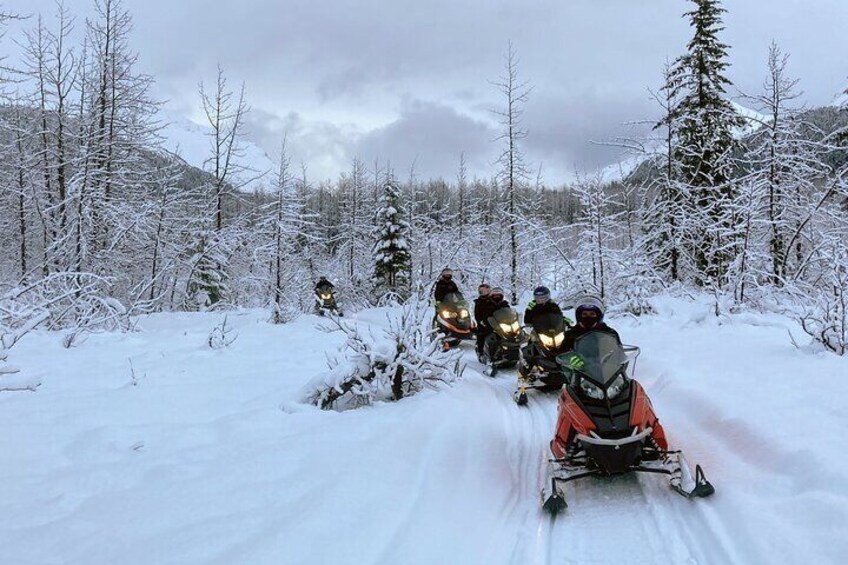 Snowmobile and Snowshoe Dual Adventure in Kenai Fjords NP