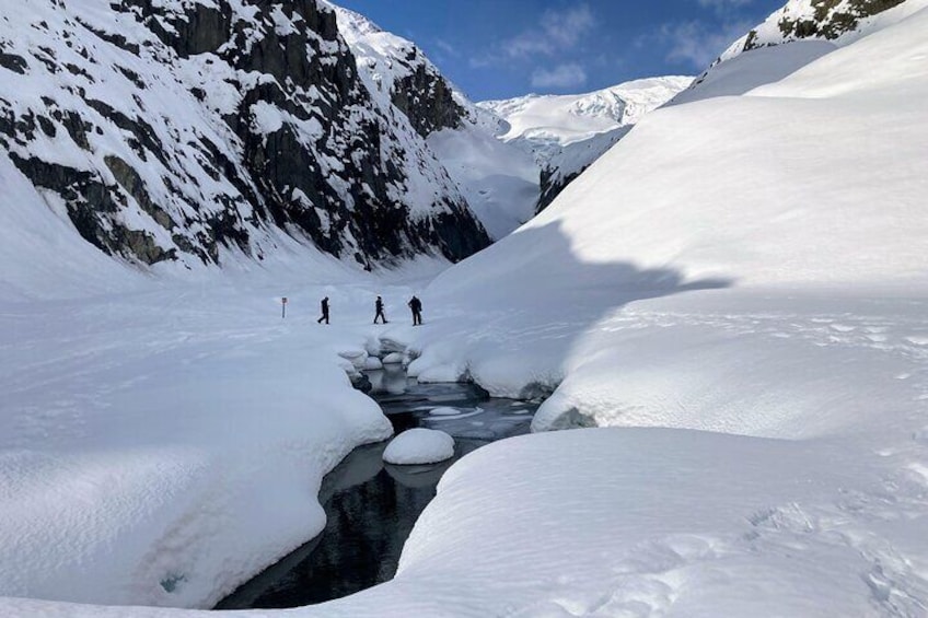 Snowmobile and Snowshoe Dual Adventure in Kenai Fjords NP