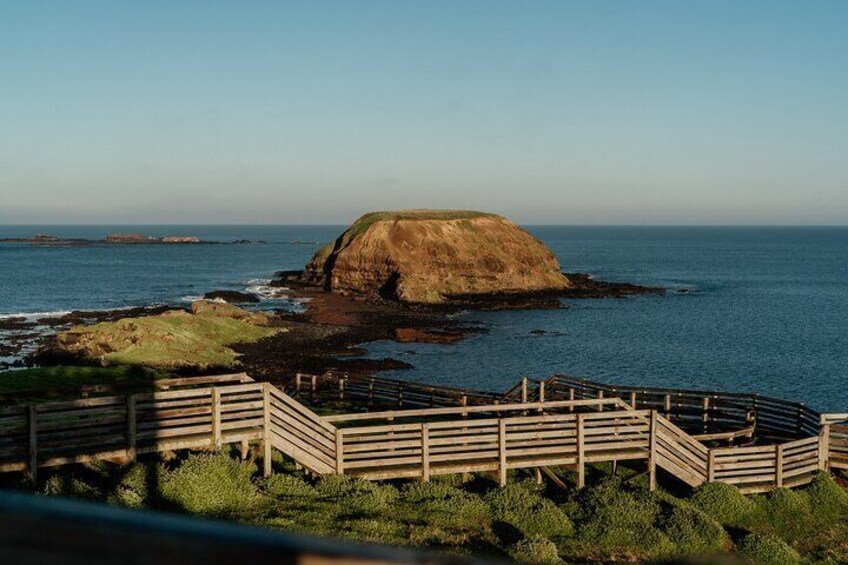 Phillip Island Penguin Parade and Churchill Island Farm Bus Tour