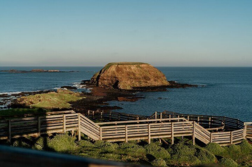 Phillip Island Penguin Parade and Churchill Island Farm Bus Tour