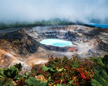 From San José: Poas Volcano and Doka Coffee Tour