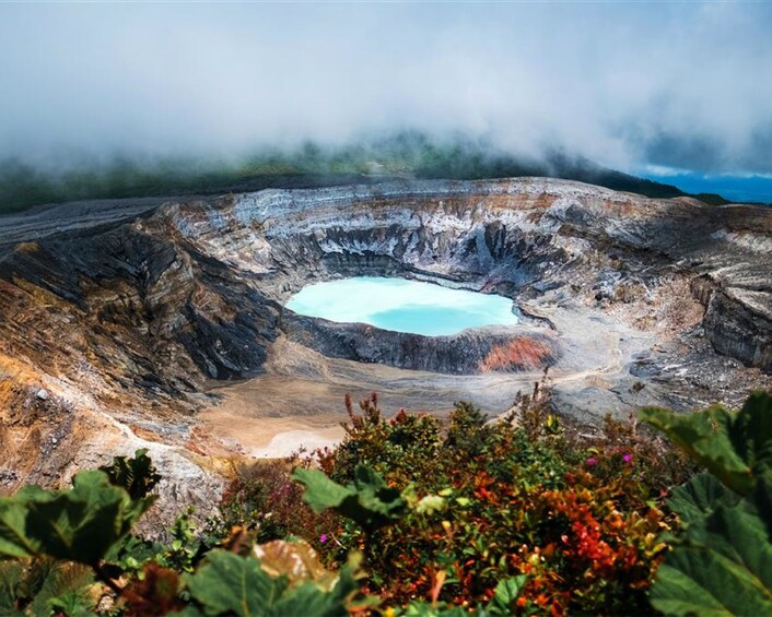 From San José: Poas Volcano and Doka Coffee Tour