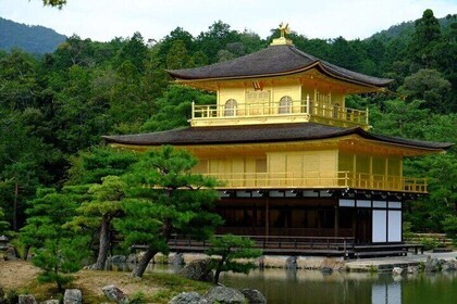 Osaka Departure Kyoto Top 3 Full Day Tour