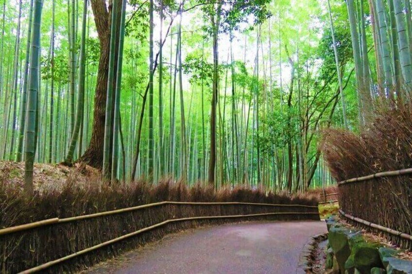 Arashiyama Bamboo Forest